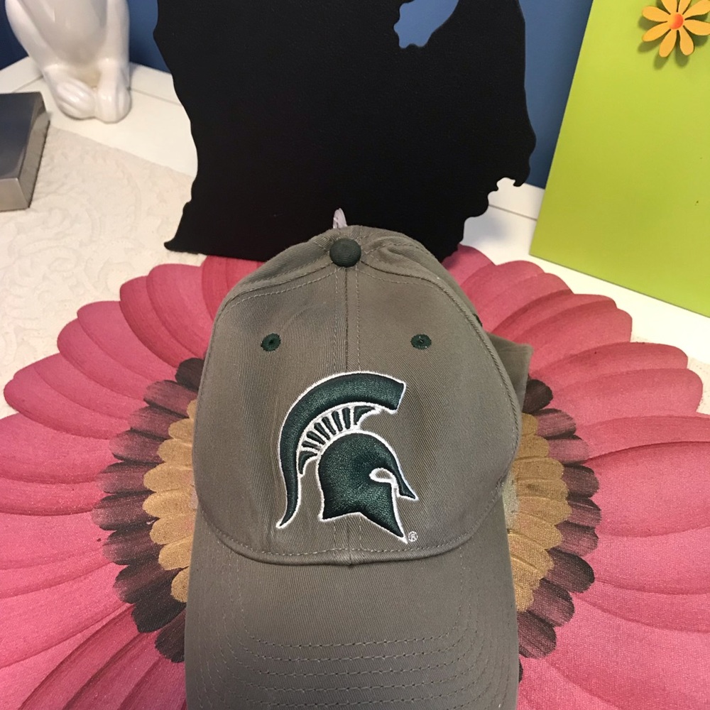Michigan State Cap
